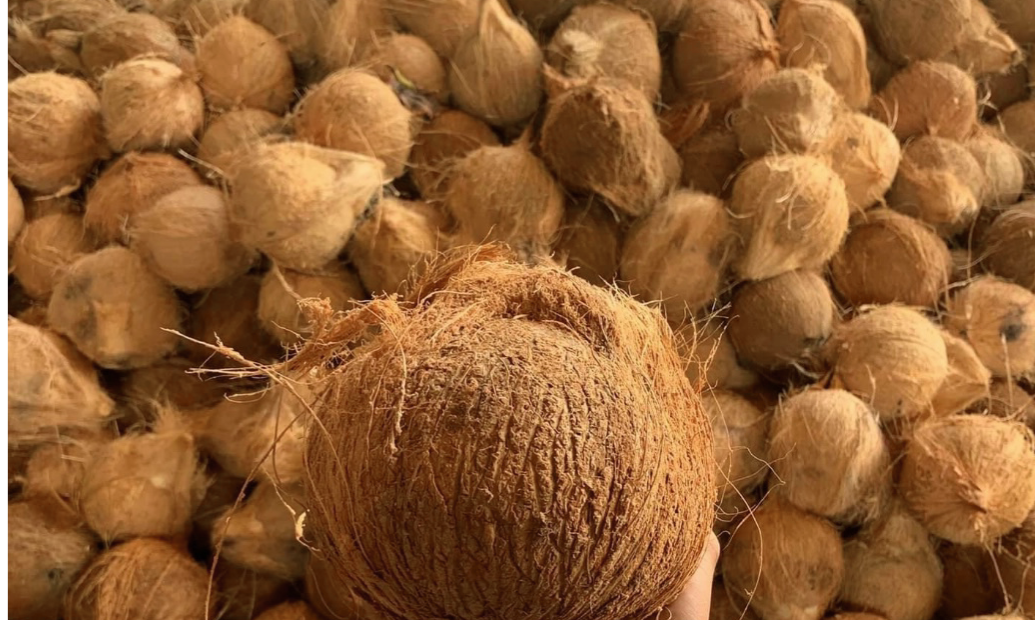 Desain tanpa judul (6)