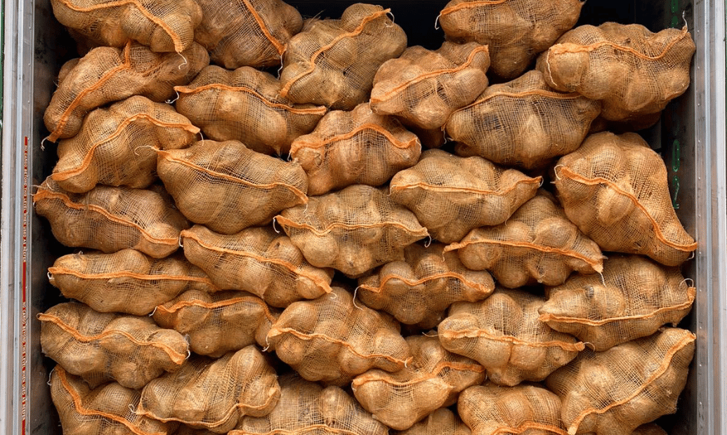 Desain tanpa judul (7)