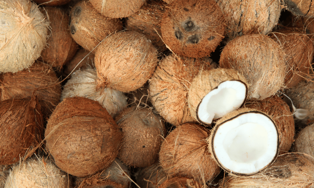 Desain tanpa judul (8)