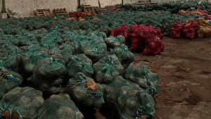 Desain tanpa judul (9)